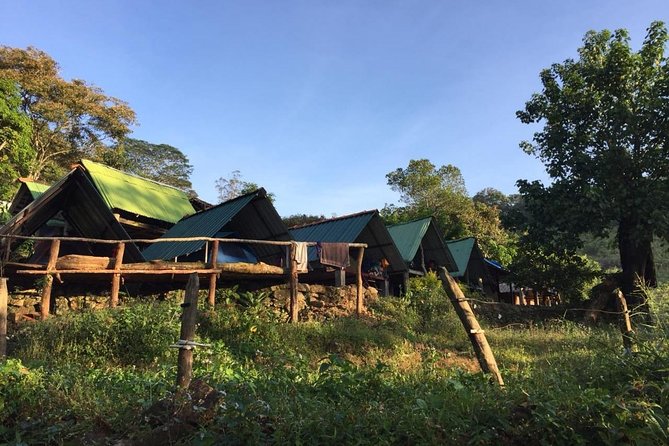 Exclusive knuckles Camping Tour from kandy - Crossing From Evergreen Dwarf Forest Into Camping Comfort