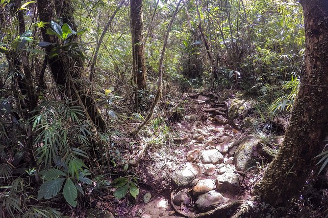 Exclusive knuckles Camping Tour from kandy - Day 2: Tea Plantations, Cloud Forest, and a Chilly Swim