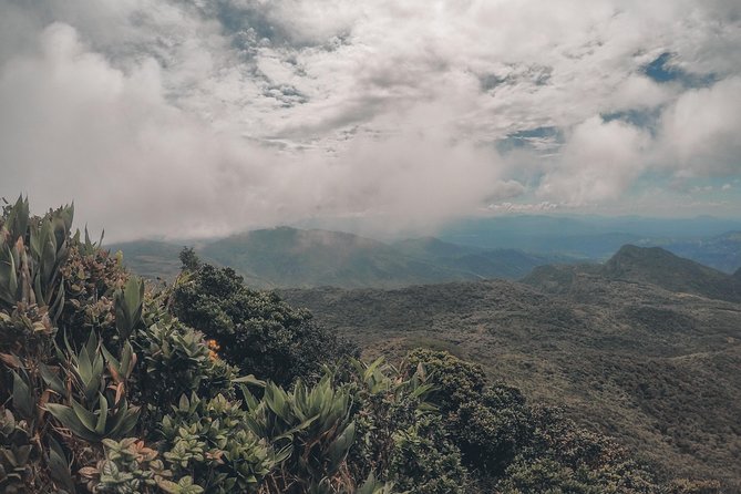 Exclusive knuckles Camping Tour from kandy - Terrace Rice Fields and the Village Stop You Actually Remember