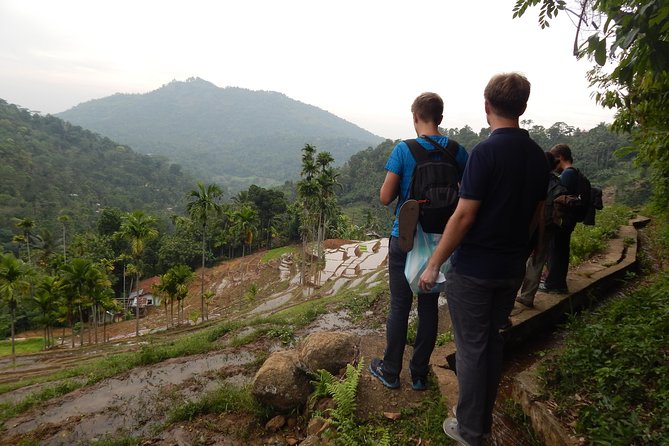 Exclusive knuckles Camping Tour from kandy - Why The Guide Makes The Trek Feel Like More Than Walking