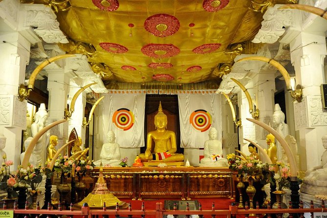 Exclusive : Last Kingdom Private Day Tour in Kandy - Wood Carving Stop and the Lunch at Oakray: Comfortable Midday Rhythm