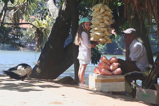 Exclusive : Last Kingdom Private Day Tour in Kandy - Market Square, Upper Lake Drive, and Gem Lapidary: The City Walk Portion