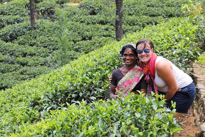 Exclusive : Last Kingdom Private Day Tour in Kandy - The Guide Factor: Why Some Days Feel Smooth, and Others Feel Too Shop-Heavy