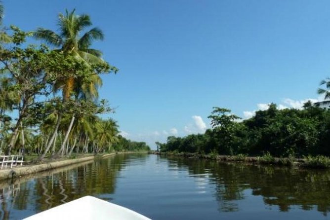 Exclusive: Muthurajawela Bird Watching Tour with Transfers - Muthurajawela Marsh and Negombo Lagoon: more than a quick bird fix
