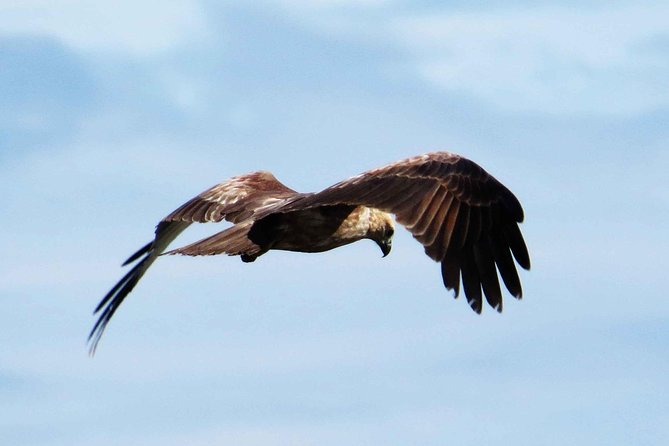 Exclusive: Muthurajawela Bird Watching Tour with Transfers - Getting there by tuk-tuk: the transfer is part of the experience
