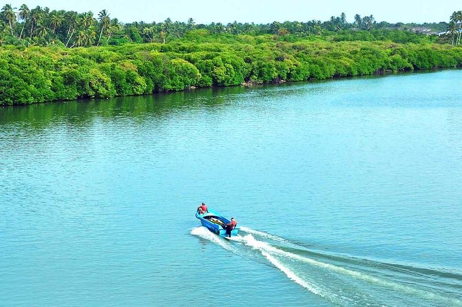 Exclusive: Muthurajawela Bird Watching Tour with Transfers - Light refreshments and the pace: comfortable, not rushed