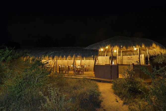 Exclusive : Overnight Leopard Safari with Luxury Glamping - Key highlights to know before you go