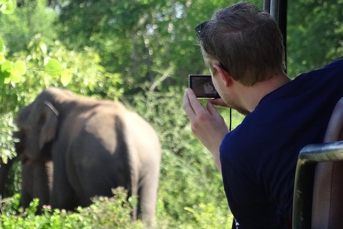 Exclusive : Overnight Leopard Safari with Luxury Glamping - Day 2: the early start, then the Nimalawa nature trail