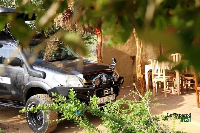 Exclusive : Overnight Leopard Safari with Luxury Glamping - Food, drinks, and the comfort budget you are actually buying