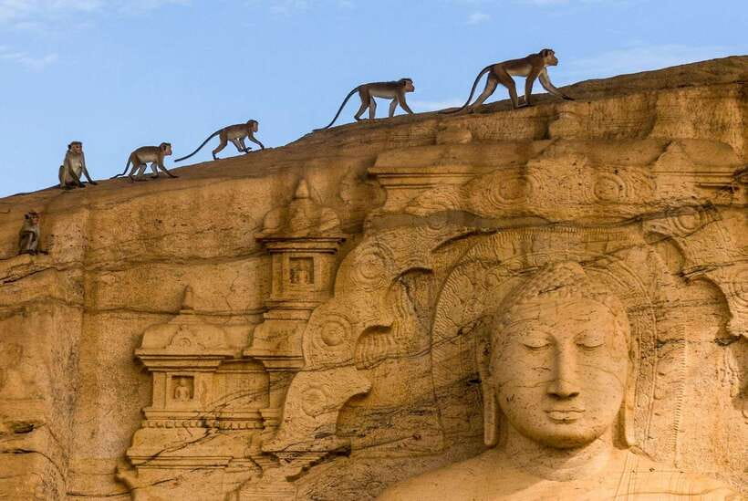Exclusive: Sigiriya Fortress & Polonnaruwa Guided Tour - Lunch at a local restaurant, timed for the next climb