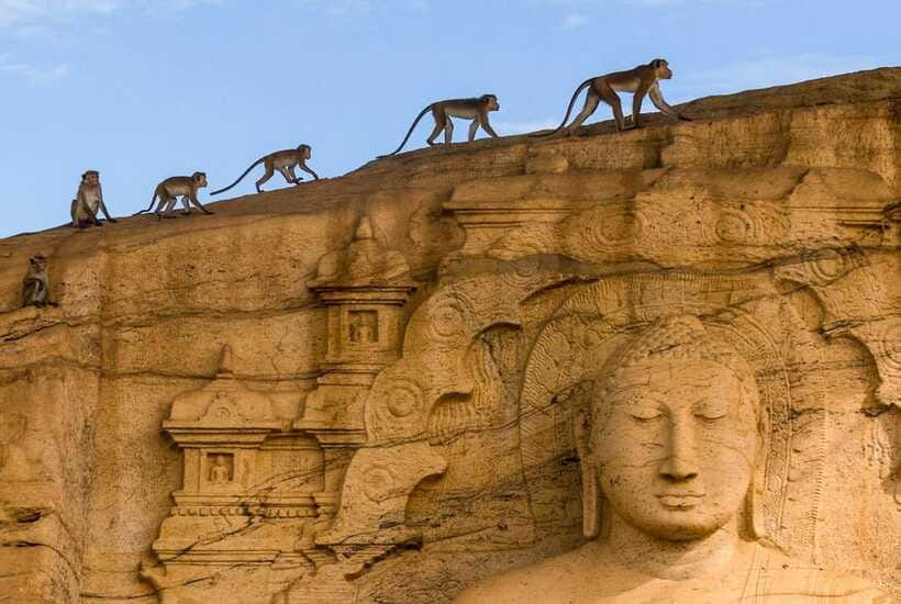 Exclusive: Sigiriya Fortress & Polonnaruwa Guided Tour - Sigiriya Lion Rock: palace ruins, frescoes, and big views