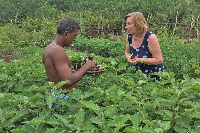 Exclusive: Southern Sri Lanka Sightseeing Private Day Trip - Balapitiya and the Madu River cruise: estuary scenery with real wildlife potential