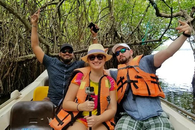 Exclusive: Southern Sri Lanka Sightseeing Private Day Trip - Kosgoda turtle hatchery: conservation you can see up close