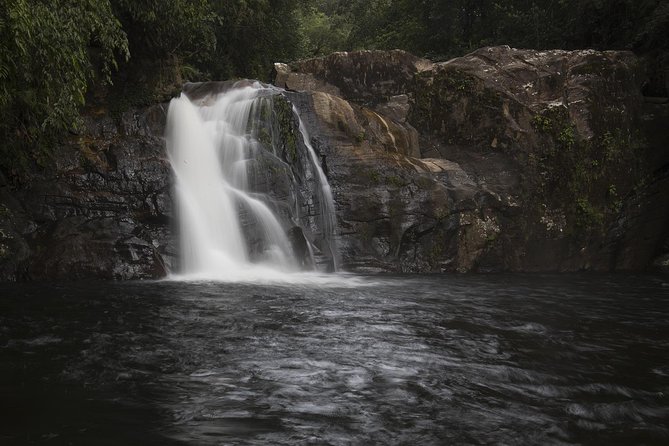 'Explore Sinharaja' rainforest - Discovery Tour (half day) - Binocular Wildlife Spotting: Making the Most of What You See