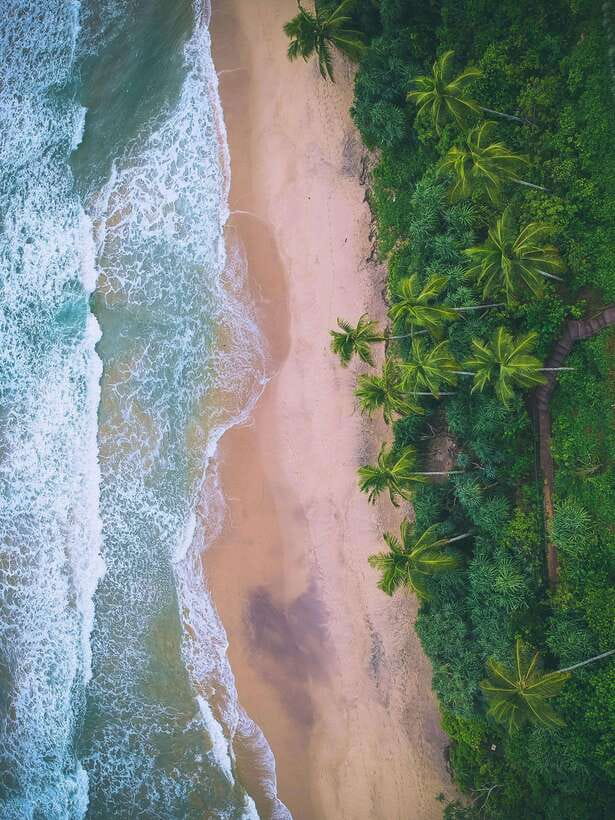 Explore the MAGIC of Sri Lanka in 7days -4 Star hotels Incl. - The comfort play: 4-star hotels and half-board meals
