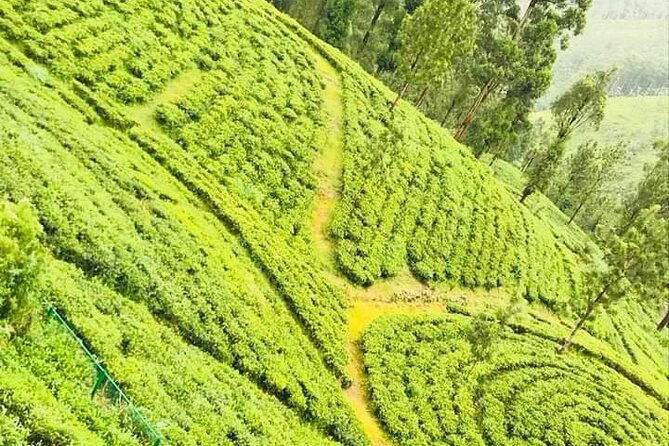 Family-Friendly Private Galle City Tour - Moonstone Mines and Gem Palace plus Tea at Handunugoda