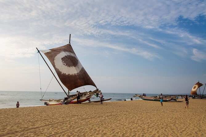 Family Holiday Tour in Sri Lanka - The Kandy day: elephants at Pinnawala, then temples, museums, and dance