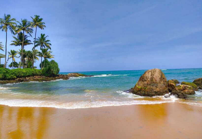 From Bentota: Elephant Transit Camp and Udawalawe Safari - Key highlights you will feel right away