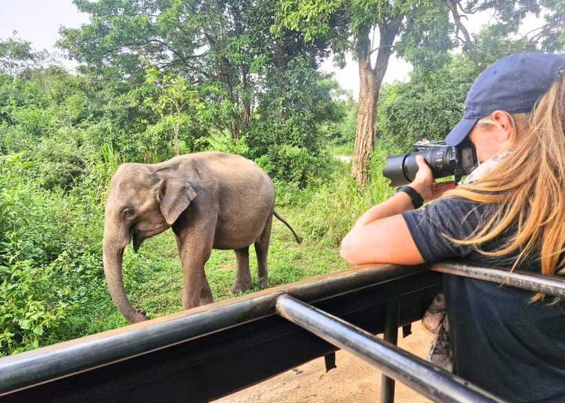 From Bentota: Elephant Transit Camp and Udawalawe Safari - Should You Book: Who This Tour Best Matches