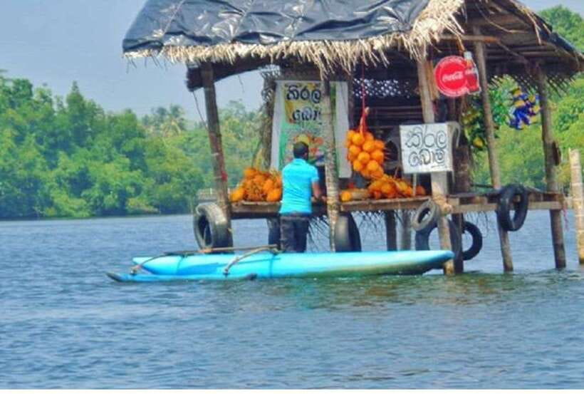 From Bentota: Exclusive Madu River Safari & Turtle Hatchery - FAQ