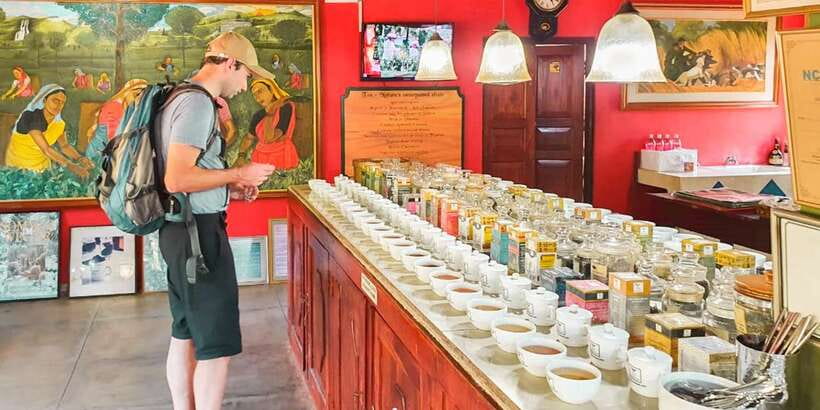 From Bentota: Southern Coast Highlights Private Day Tour - What to pack for a full southern-coast day in Sri Lanka heat