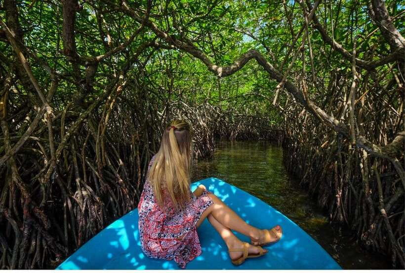 From Colombo: Exclusive Madu River Safari & Turtle Hatchery - Madu Ganga wetlands: why this river safari feels different