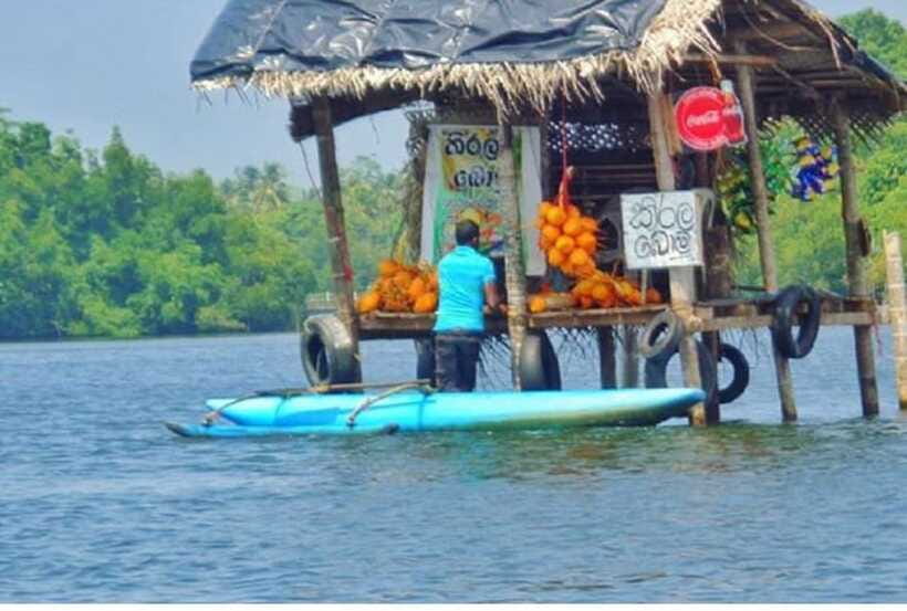 From Colombo: Exclusive Madu River Safari & Turtle Hatchery - Timing and pacing: how the 6 hours really work
