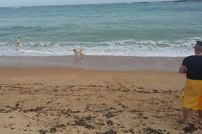 From Colombo: Full-Day Galle Tour - Sea turtle hatchery and maritime stops for a different kind of Galle