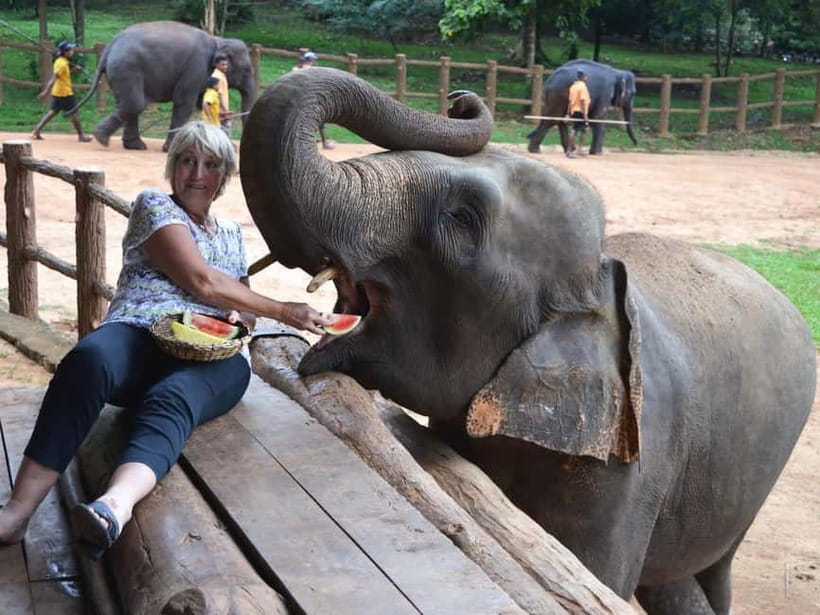 From Colombo: Kandy and Pinnawala Orphanage Short Excursions - Lunch time: plan for your own meal