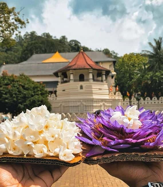 From Colombo: Kandy and Pinnawala Orphanage Short Excursions - Colombo to Kandy and Pinnawala in one day