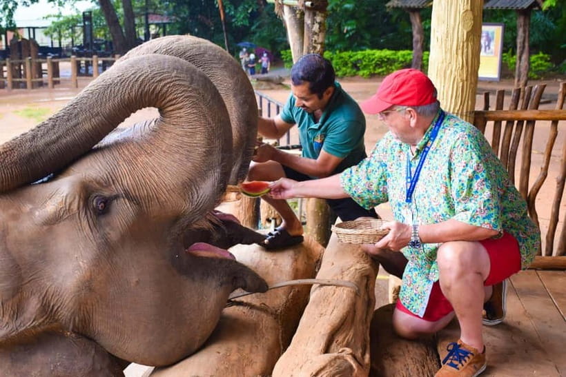 From Colombo: Kandy and Pinnawala Orphanage Short Excursions - Craft stops in Kandy: gems, wood carving, and batik
