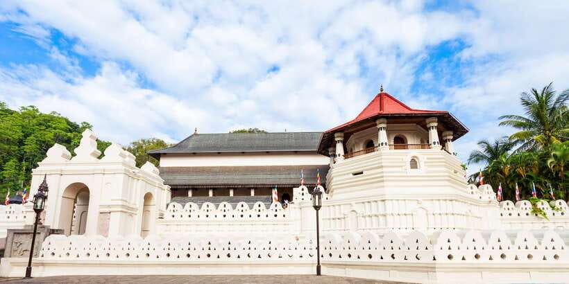 From Colombo: Kandy Full-Day Trip - Geragama Tea Factory: The Tasting Part Is the Payoff