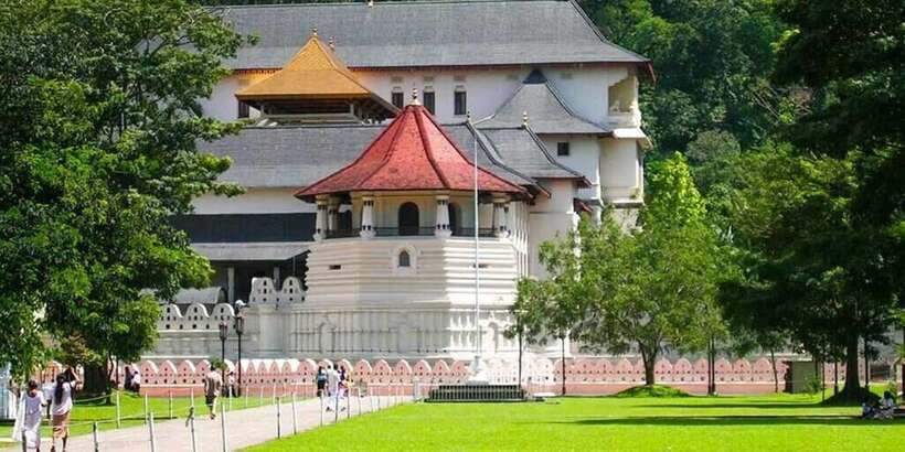 From Colombo: Kandy Full-Day Trip - Royal Botanic Gardens, Kandy: Walk It or Ride It