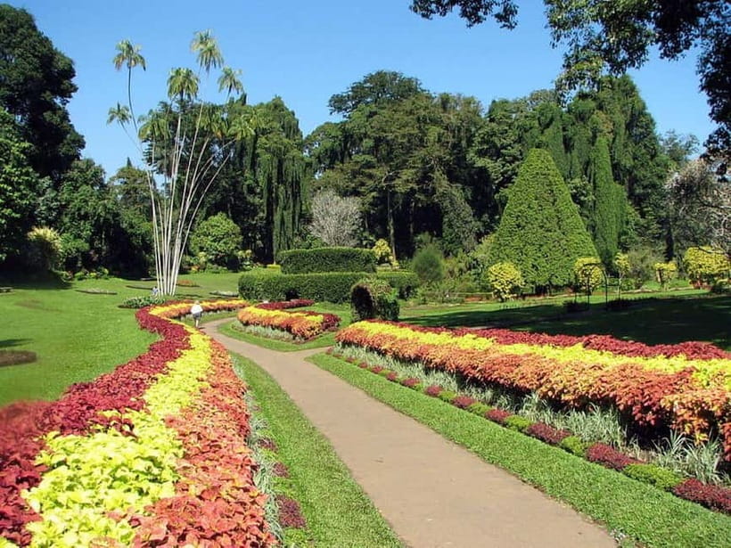 From Colombo: Kandy, Pinnawala and Tea Factory Full-Day Trip - Susantha Spice and Herbal Garden: More Than a Quick Stop