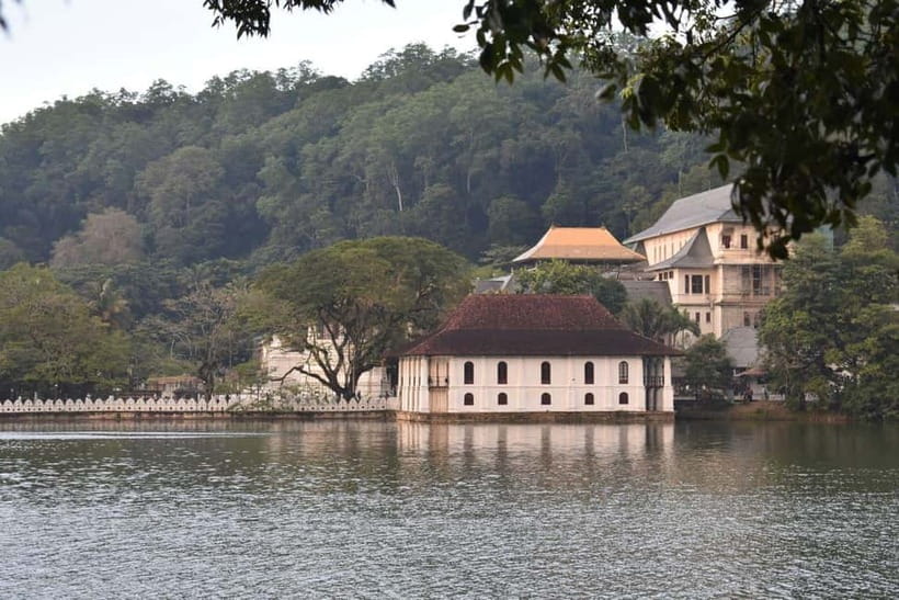 From Colombo: Kandy, Pinnawala and Tea Factory Full-Day Trip - Oak Ray Wood Carvings and Craft Shopping: Souvenirs With a Story