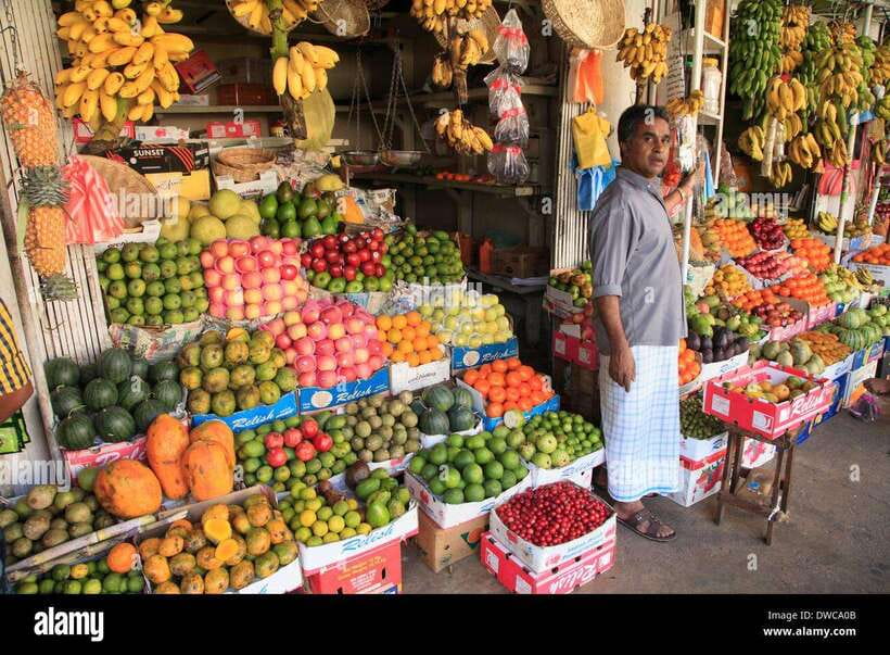 From Colombo: Kandy Temples and Pinnawala Full-Day Tour - Morning Pickup To Ambepussa: The Early Start Makes The Whole Day