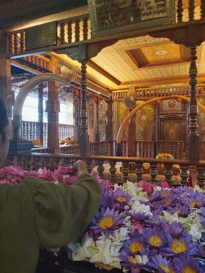 Kandy Temples and Pinnawala Full-Day Tour