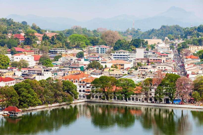 From Colombo: Kandy Temples and Pinnawala Full-Day Tour - Pilimathalawa Tea Factory: From Plant To Cup, Plus Tasting