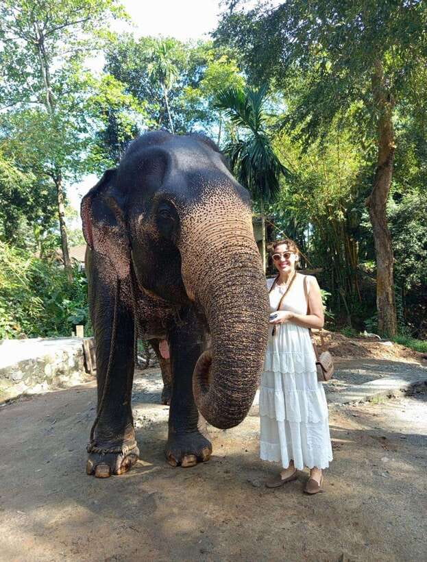 From Colombo or Negombo: Pinnawala, Kandy & Tea Factory Tour - From Colombo or Negombo, a packed day that is still easy to manage