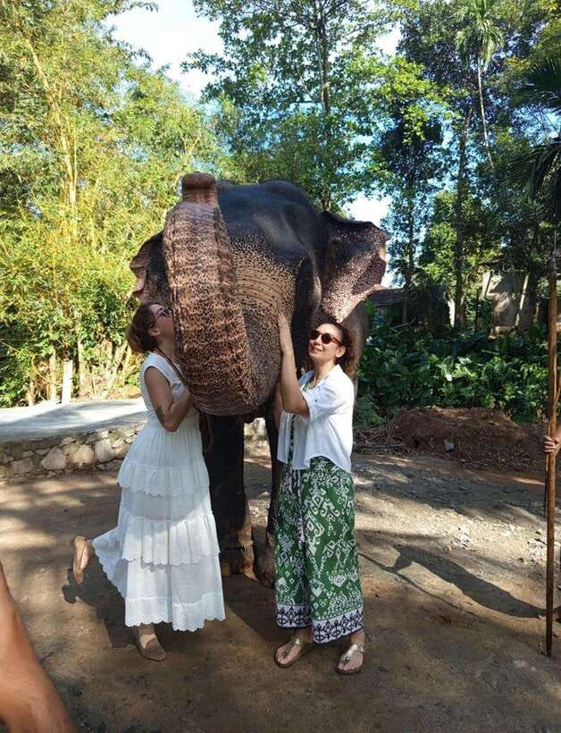 From Colombo or Negombo: Pinnawala, Kandy & Tea Factory Tour - A quick stop at Bahirawakanda Temple before the Kandy hub