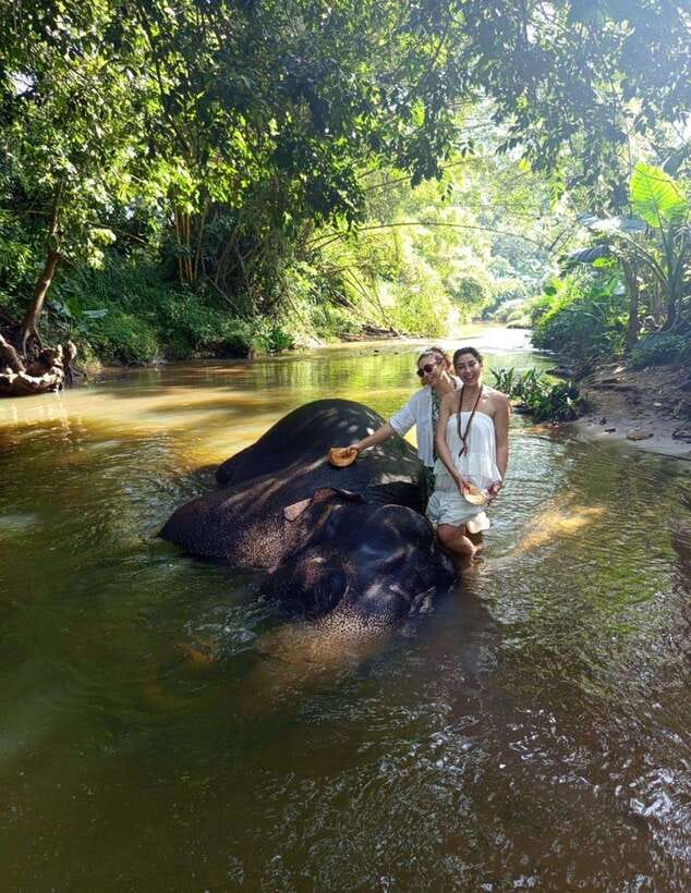 From Colombo or Negombo: Pinnawala, Kandy & Tea Factory Tour - Temple of the Sacred Tooth Relic, UNESCO focus and what makes it special