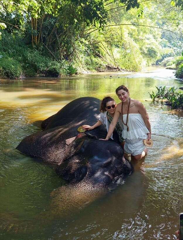 From Colombo or Negombo: Pinnawala, Kandy & Tea Factory Tour - Kandyan Cultural Centre, guided learning without the pressure of staying too long
