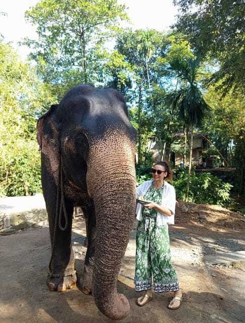 From Colombo or Negombo: Pinnawala, Kandy & Tea Factory Tour - Gem factory and batik factory stops, where souvenirs meet process