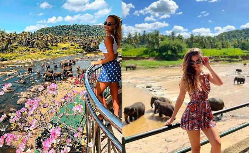 From Colombo: Pinnawala & Tea factory with Kandy Hotel Drop - Kadugannawa View: the quick scenic reset