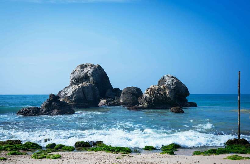 From Colombo to Galle Fort and Jungle Beach Day Trip - Hikkaduwa (and nearby sea life): turtles and coral country