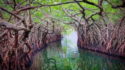 From Colombo to Galle Fort and Unawatuna Beach Day Trip