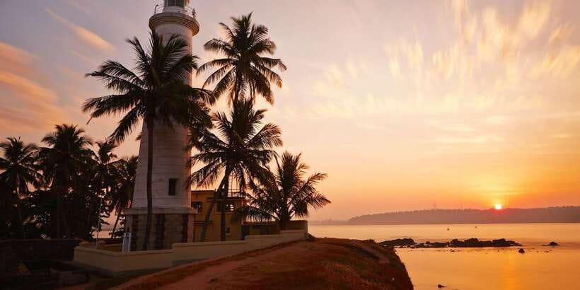 From Colombo: Virgin White Tea and Galle City Tour - Colombo pickup to tea country: what the morning feels like