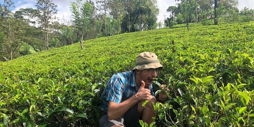 From Colombo: Virgin White Tea and Galle City Tour - Ahangama break: a quick coastal palate cleanser