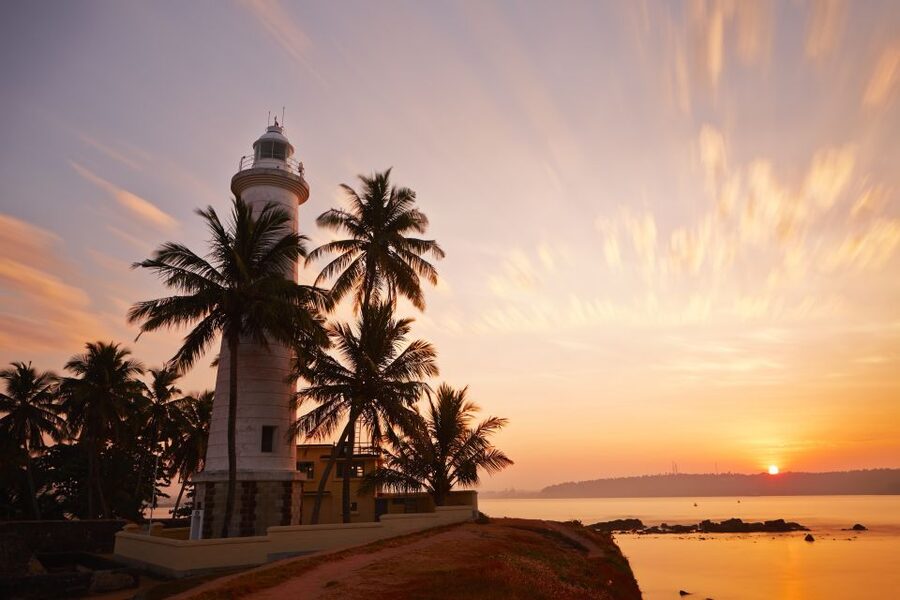 From Colombo: Virgin White Tea and Galle City Tour - Tea stops along the way: keep it optional and budget-aware