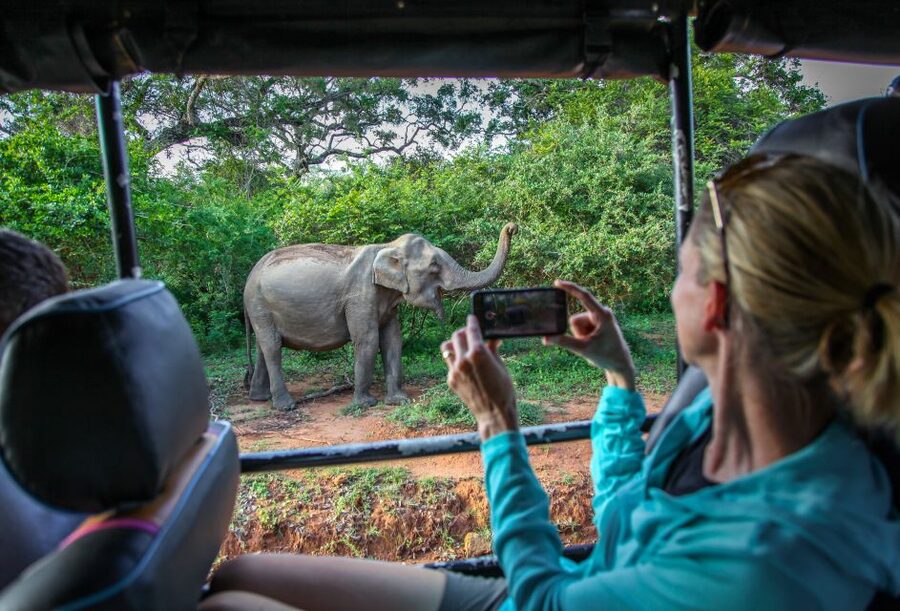 From Colombo : Yala National Park Safari With Tickets - Shared air-conditioned transport, and why it matters on this long route